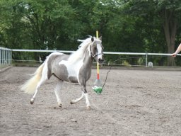IMG_1139_web